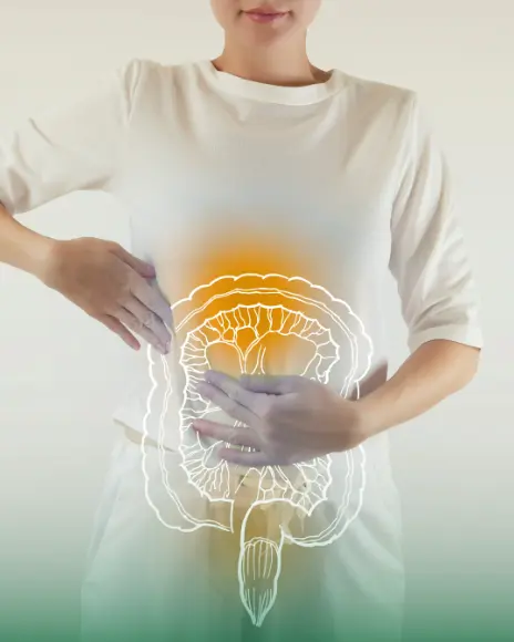 Plan digestivo y dieta médica especializada para el tratamiento de gastritis, reflujo y colitis