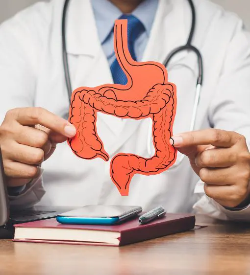 Médico utilizando una ilustración del sistema digestivo para explicar el plan nutricional