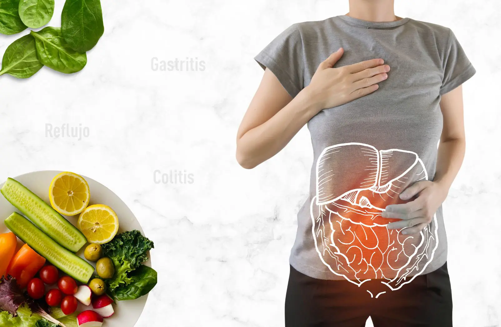 Plan digestivo y dieta médica especializada para el tratamiento de gastritis, reflujo y colitis
